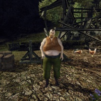 Birdman.jpg