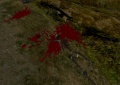 Blut.jpg