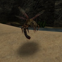 Blutfliege.jpg