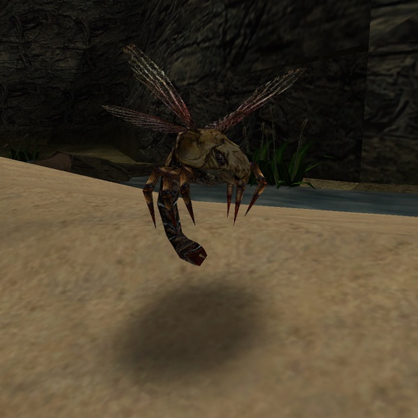Datei:Blutfliege.jpg