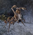 CrawlerFürAnalyse.jpg
