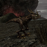 Drachensnapper.jpg
