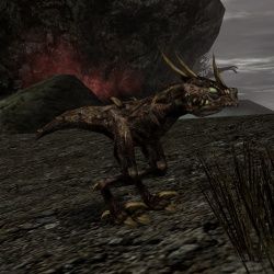 Drachensnapper.jpg