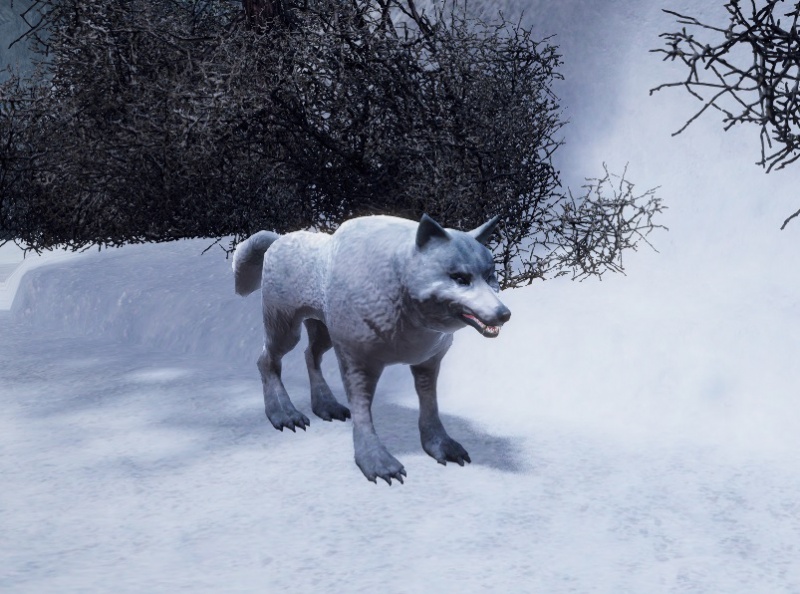 Datei:EiswolfG3.jpg