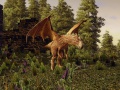 FestlandDrache2.jpg