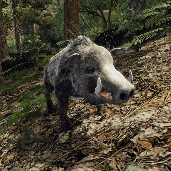 Datei:GarstigesWildschwein.jpg