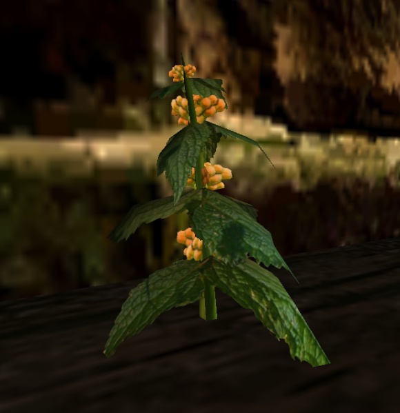 Datei:Goblinbeere.jpg