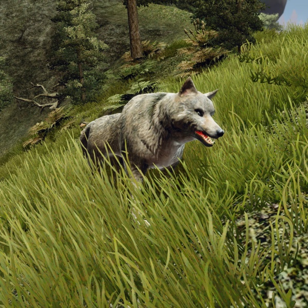 Datei:HungrigerWolf.jpg