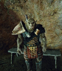 Jarock.jpg