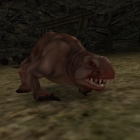 JungeMolerat.jpg