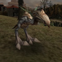 JungerScavenger.jpg