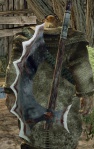 KrushAgash.jpg