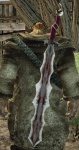 KrushMorok.jpg