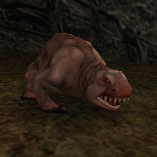 Datei:Molerat.jpg