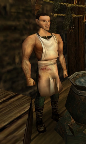 Datei:Omid.jpg