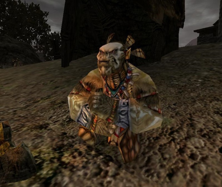 Datei:Ork-Schamane2.jpg