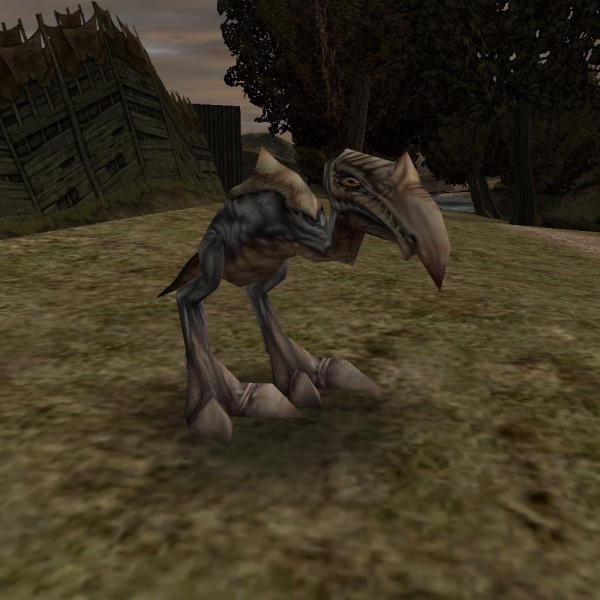 Datei:Scavenger.jpg