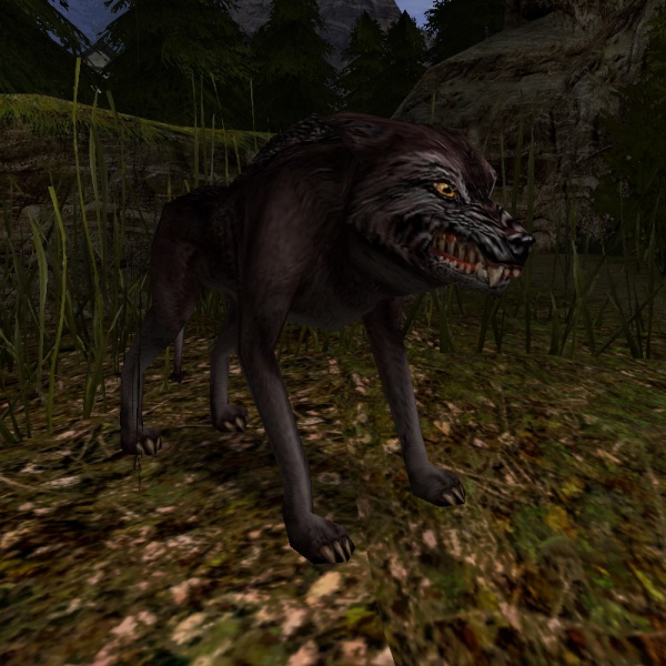 Datei:SchwarzerWolf.jpg