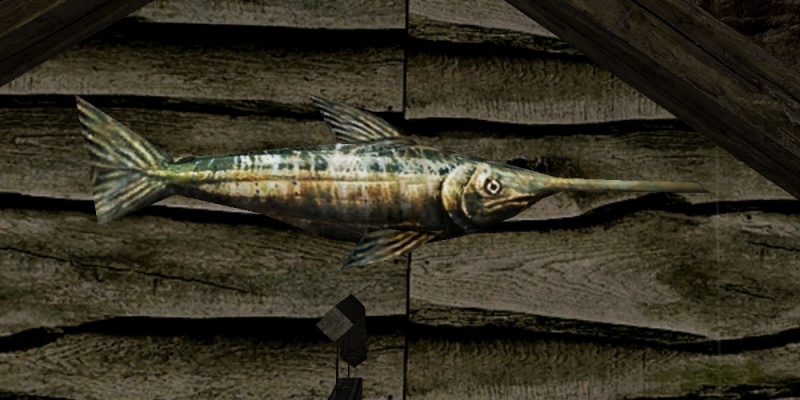 Datei:Schwertfisch.jpg