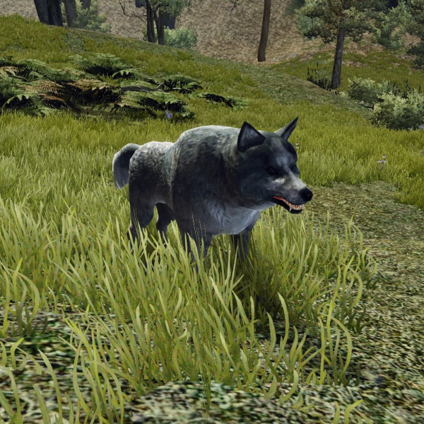 Datei:SilbernerWolf.jpg