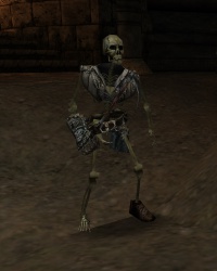 Skelett-Späher.jpg
