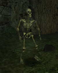 Skelett.jpg