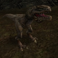 Snapper.jpg