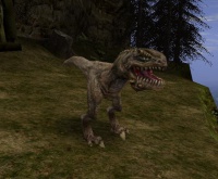 Snapper2.jpg