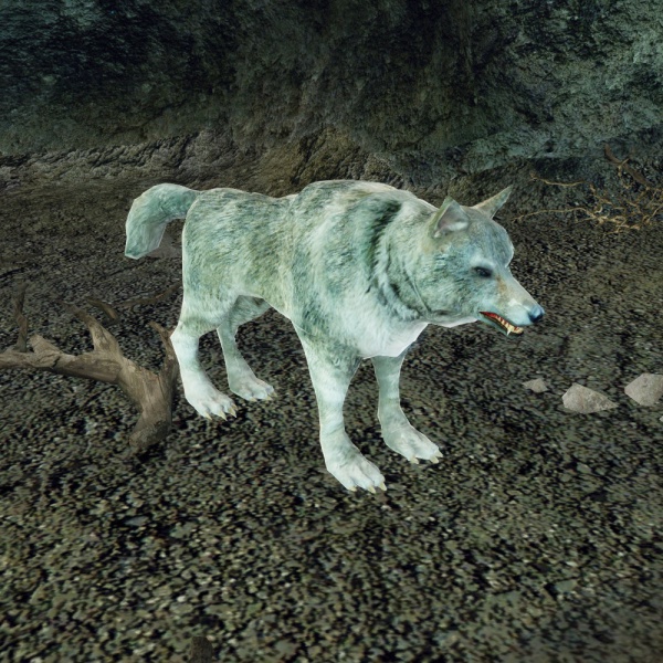 Datei:StreunenderWolf.jpg