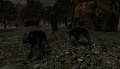 Warg1.JPG