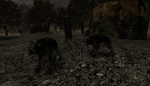 Warg1.JPG