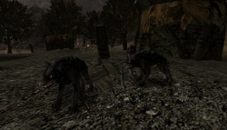 Warg1.JPG