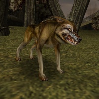 Wolf.jpg