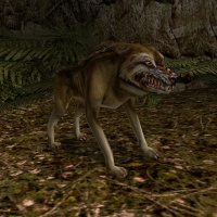 Wolf2.jpg