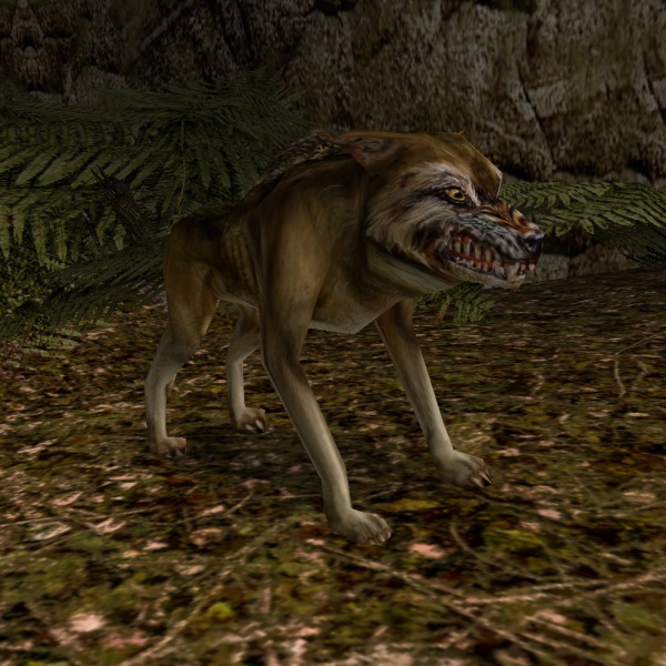 Datei:Wolf2.jpg