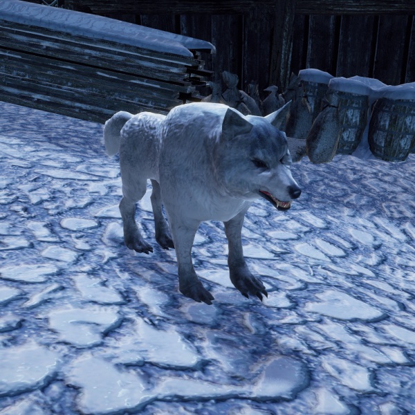 Datei:ZahmerEiswolf.jpg