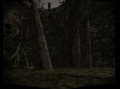 Vorschaubild der Version vom 4. März 2007, 16:21 Uhr